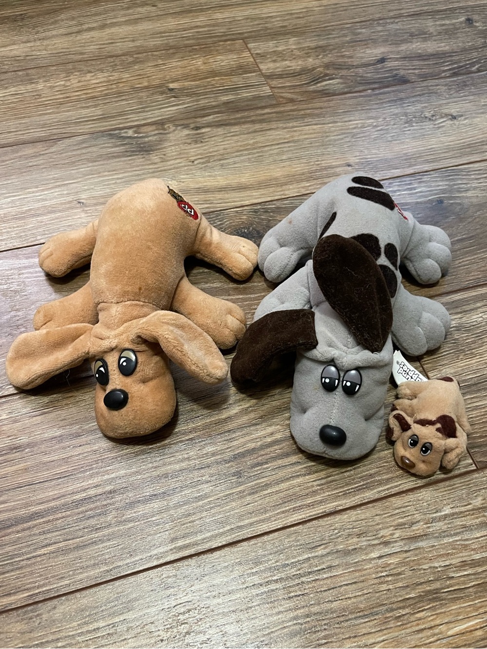 Pound Puppies Plush Dog Trio - Brown & Gray